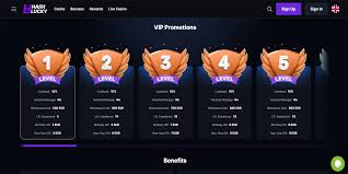 Experience Thrilling Fun at HashLucky Casino
