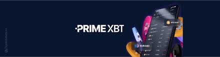 Understanding the Impact of PrimeXBT Processing Time